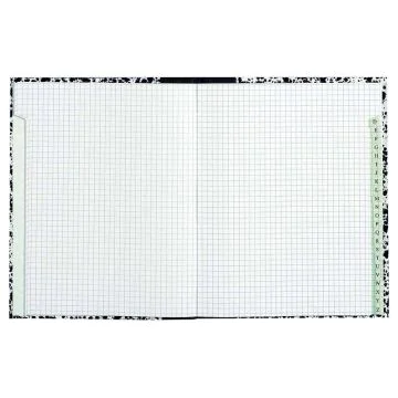 LE DAUPHIN : Répertoire de 192 pages quadrillées -  220 x 170 mm 202519d