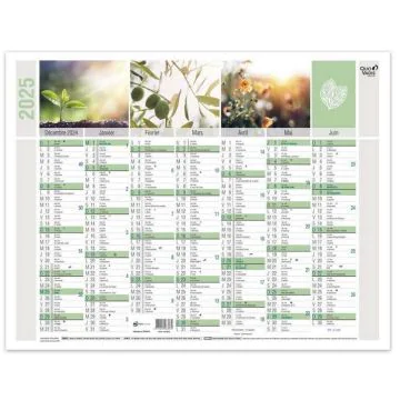 Calendrier mural 2025 - 430 x 335 mm QUO VADIS Equology 238089Q Décembre à Juin
