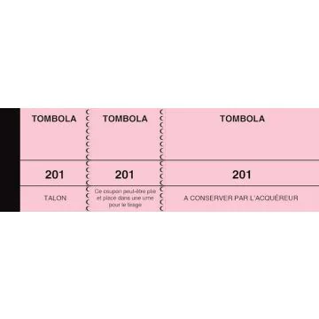 TOMBOLA Elve : Carnet de 1.000 de tickets de Tombola - Rose 254
