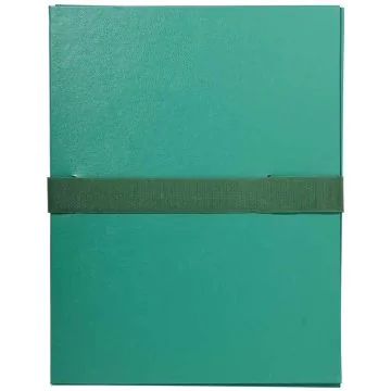 Chemise à sangle Balacron avec Velcro - Vert EXACOMPTA image