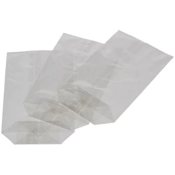 Sachet en cellophane transparent - 95 x 160 mm : FOLIA Lot de 10 Visuel