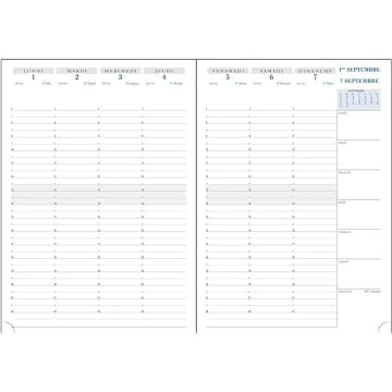 Agenda 2024/2025 Semainier de bureau SAD29 297 x 210 mm EXACOMPTA