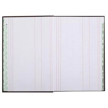 Echéancier mensuel - 297 x 210 mm LE DAUPHIN 39721D modèle