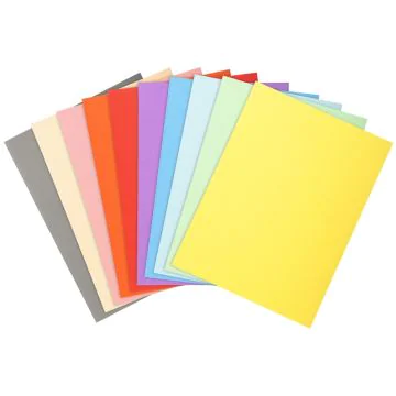 Lot de 100 Chemises pour dossiers - Assortiment EXACOMPTA Forever 170 Visuel