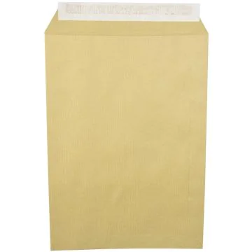 504-GPV-lot-de-250-enveloppes-d-expedition-marron-c4