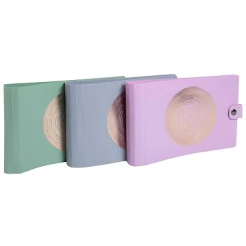 Classeur à 2 anneaux pour fiches Bristol - Assortiment : EXACOMPTA Ellipse image