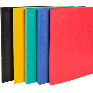 54250E Classeur Exacompta 2 Anneaux Assortiment Carte lustrée