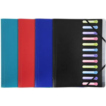 EXACOMPTA : Trieur avec élastiques - 12 compartiments 55180E assortiment