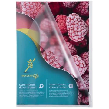 Pochettes à coins A4 - Cristal : EXACOMPTA Lot de 10 image