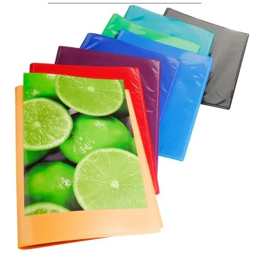 Protège-documents personnalisables de 60 vues - Assortiment EXACOMPTA : 5730E porte-vues