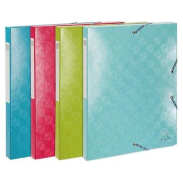 Boîte de classement - Dos 25 mm - Assortiment EXACOMPTA 1928