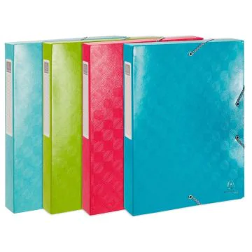 Boîte de classement - Dos 40 mm - Assortiment EXACOMPTA 1928