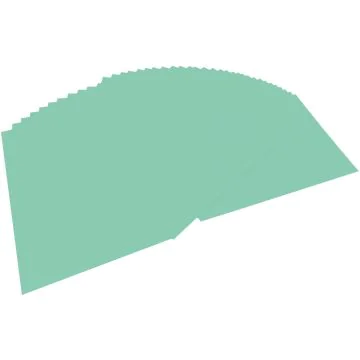 Feuille de papier - 220 g - 500 x 700 mm - Menthe : FOLIA Visuel