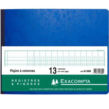 EXACOMPTA 6130E : Registre de 13 colonnes sur 1 page - 250 x 320 mm Journal comptable