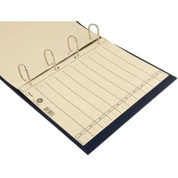 Intercalaires en carton - 238 x 300 mm - Chamois : ESSELTE Lot de 100 Image