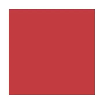 Feuilles de couleur A4 - 210 x 297 mm - Hibiscus FOLIA