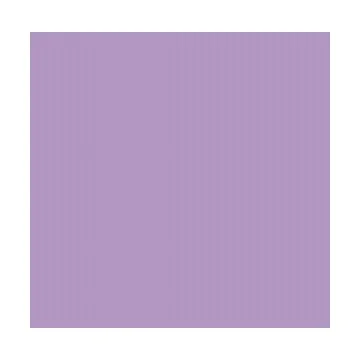 Feuille de couleur A4 - 210 x 297 mm - Violet : FOLIA Visuel