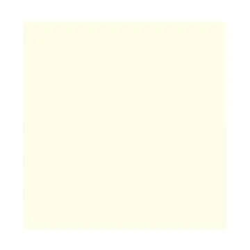 Feuilles de papier de couleur - 500 x 700 mm - Blanc perle : FOLIA Visuel