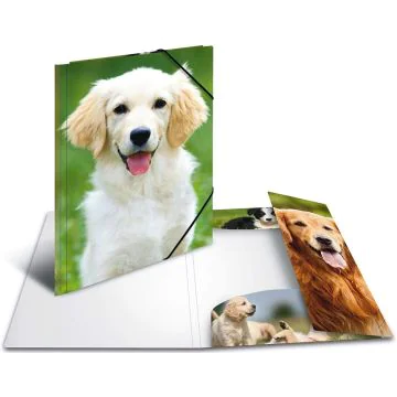 Chemise à rabats - Motif Chien - A4 : HERMA Image