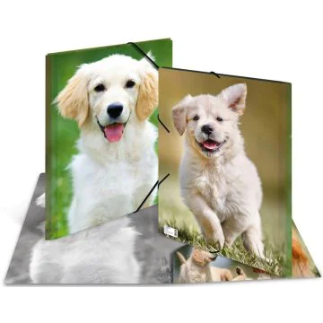 Chemise à rabats - A3 Chien : HERMA image