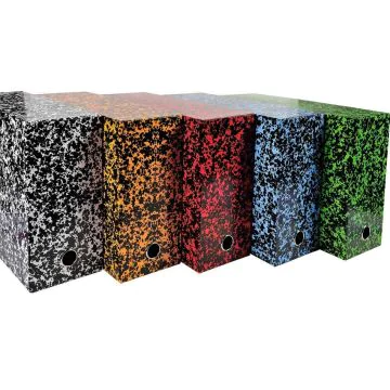 EXACOMPTA : Boîtes de classement Assortiment Annonay - Dos 120 mm 89820E