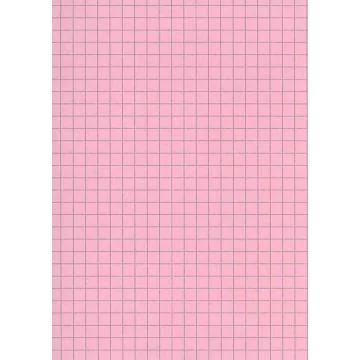ELVE B12513R : Lot de 100 fiches bristol - 125  x 200 mm - Rose quadrillé 