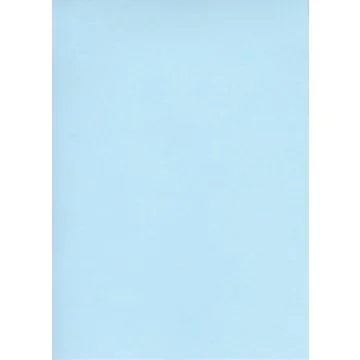 Fiches Bristol Unies - 125 x 200 mm - Bleu ELVE Lot de 100