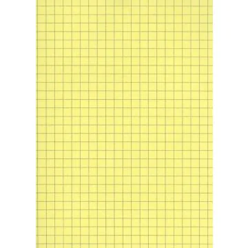 Fiches Bristol A5 - 148 x 210 mm - Jaune quadrillé ELVE B14813J jaune
