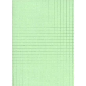 Fiches Bristol A5 - 148 x 210 mm - Vert quadrillé ELVE