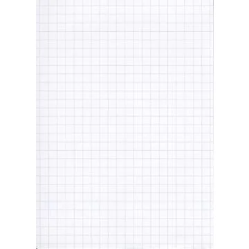 Lot de 100 Fiches Bristol A4 - 297 x 210 mm - Blanc quadrillé ELVE B29713 blanc