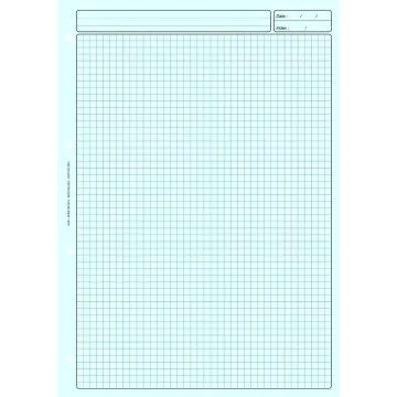 BLOC DE REVISION COMPTABLE :  Feuille Quadrillée A4 Bleu ELVE 2612
