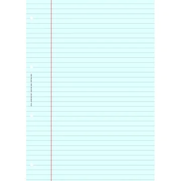 BLOC DE REVISION COMPTABLE :  Feuille Lignée A4 Bleu ELVE 2622