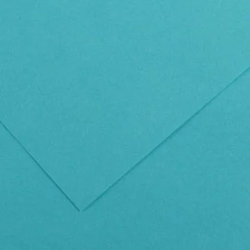 Feuilles de couleur 500 x 650 mm - Noir - CANSON Vivaldi