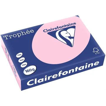 Ramette de papier de 250 feuilles A3 160g - Rose : CLAIREFONTAINE Trophée Visuel