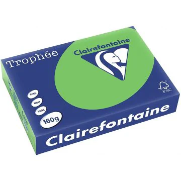 Ramette de papier de 250 feuilles A3 160g - Vert : CLAIREFONTAINE Trophée Image