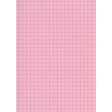 Fiches Bristol A5 - 148 x 210 mm - Rose quadrillé ELVE B14813R