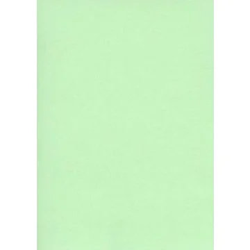 Fiches Bristol Unies A4 - 297 x 210 mm - Vert : ELVE Lot de 100 Illustration
