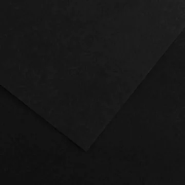 Feuilles de couleur 500 x 650 mm - Noir - CANSON Vivaldi