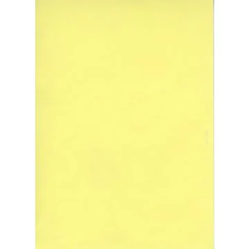 Fiches Bristol - Jaune uni - 125 x 200 mm ELVE B125J