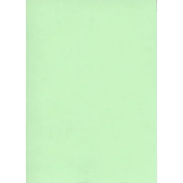 Fiches Bristol Unies - 125 x 200 mm - Vert ELVE Lot de 100