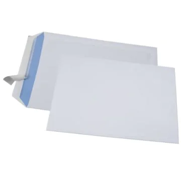 Lot de 250 Pochettes d'expédition ECO sans fenêtre C4 - 229 x 324 mm : GPV