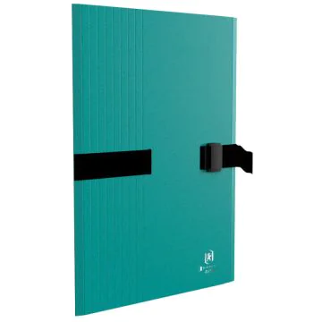 Photo Chemise extensible à sangle - Vert OXFORD Boston