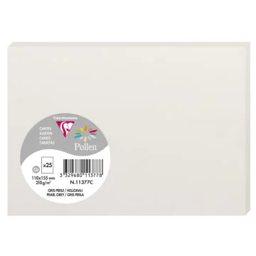 Photo POLLEN Carte Gris perle 110 x 155 mm C6 11377C Clairefontaine