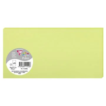 Photo POLLEN Carte DL vert bourgeon 106 x 213 mm 11540C Clairefontaine