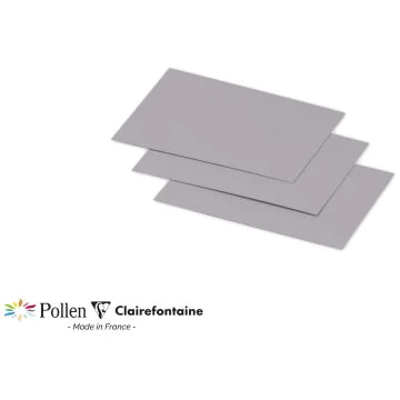 Photo POLLEN : Carte de papier Gris koala - Format 70 x 95 mm 1202C