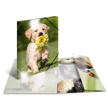 Photo Chemise à élastique A3 - Motif Chiens HERMA image