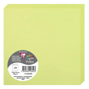 Photo Cartes double en papier - 135 x 135 mm - Vert Bourgeon CLAIREFONTAINE Pollen Lot de 25