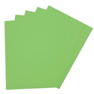 Caoutchouc mousse - Vert clair - 290 x 400 mm : FOLIA Image