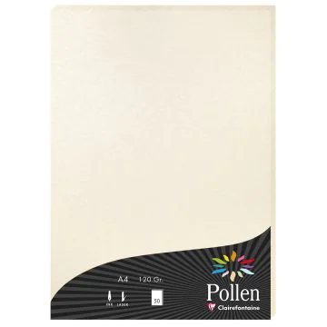 Photo Feuille de couleur Ivoire irisé  210 x 297 mm A4 POLLEN 24303C