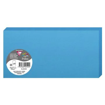 Photo POLLEN : Carte double de papier - Format DL - Bleu turquoise 2522C